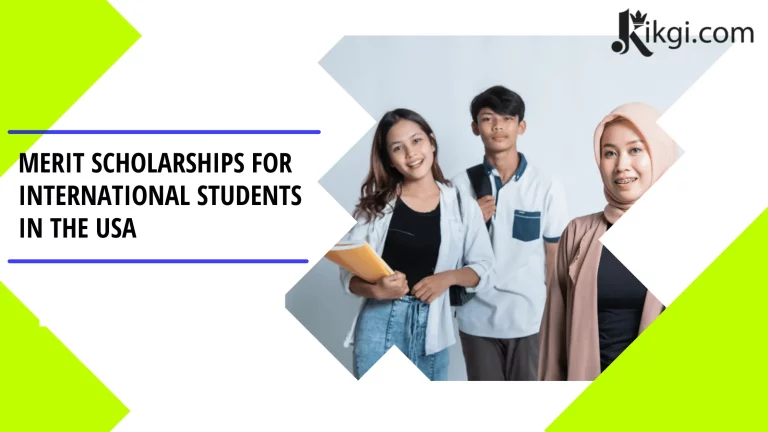 International Student Merit Scholarship