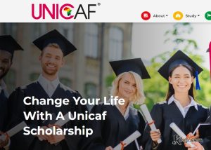 UNICEF Scholarships for International Students 2023/2024: How to Apply